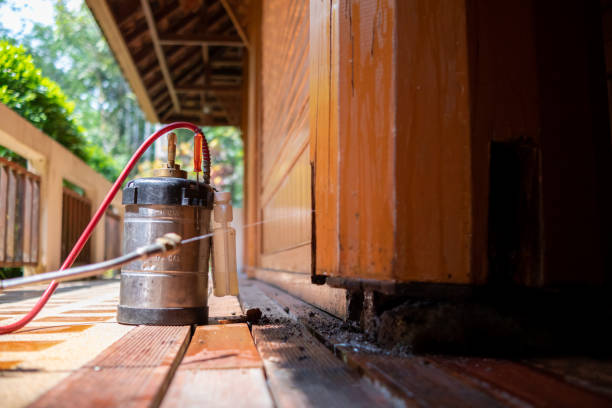 Best Pest Removal Services  in Muhlenberg Rk, PA